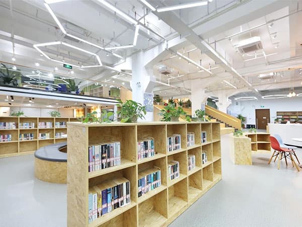 实验ALevel (新哲文院A-Level学部） - 图片 4