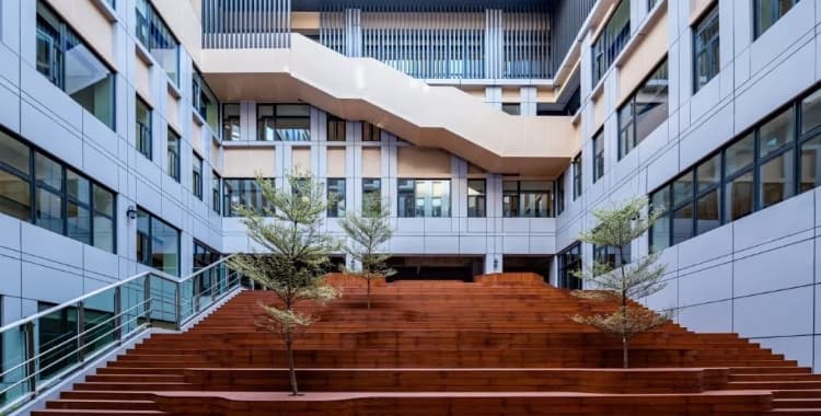 深圳哈罗2026—2027学年招生指南：申请条件、入学评估与学费
