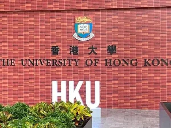 天辰国际书院!24Fall 港大A-level要求上涨!