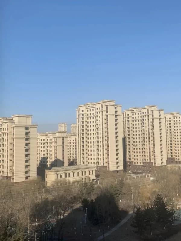 深圳高级中学国际课程体系|喜报|社团 | 岁末回首，“生”机盎然