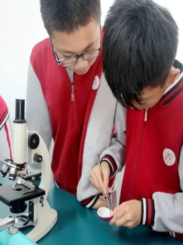 深圳市华明星学校  |  最美的遇见 | 华明星学校2025年秋季初一入学指南