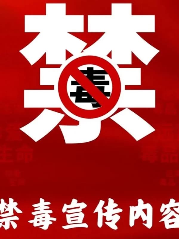 深圳市正德高级中学DSE学部 | 筑牢禁毒防线，守护青春净土——正德DSE学部禁毒教育回顾