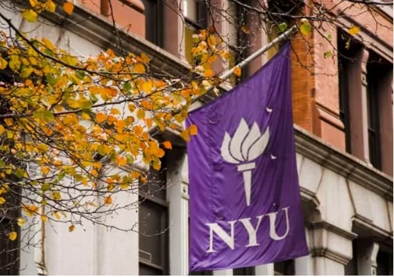知了学院喜报|纽约大学录取来了!