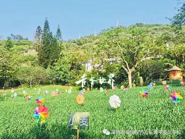 方方乐趣中英文学校 青青世界 向春而行
