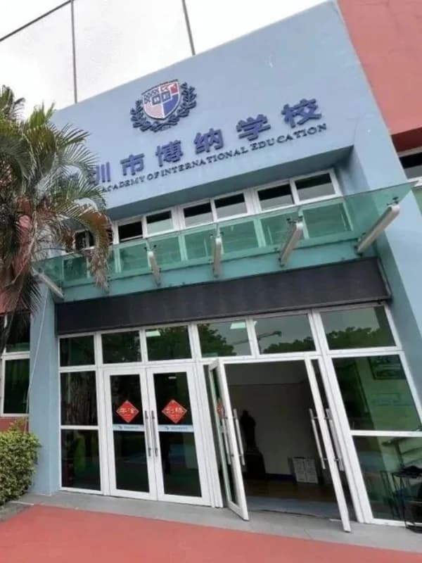 鹰尚私塾 | 大湾区择校指南 | 爬藤除了贝赛思，还有哪些学校值得考虑？