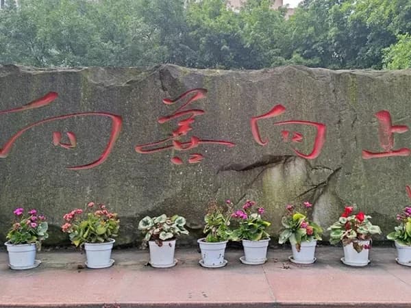 深圳天立国际高中：党建引领的创新办学之路