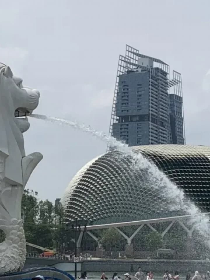 朗世国际教育 | 新加坡留学费用知多少从学费到生活费，一篇全搞懂！