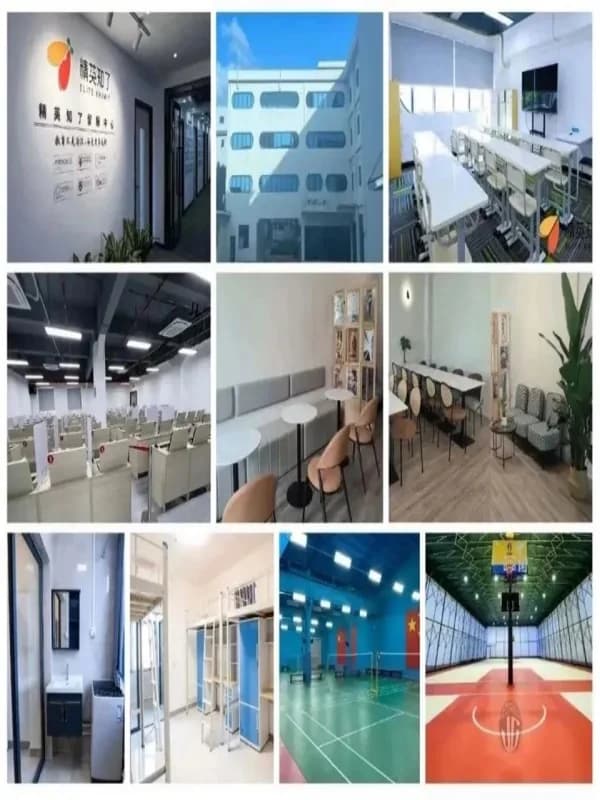 精英知了国际教育 | 精英知了OSSD学生提前5个月锁定港城大录取真相，打破“认可度低”谣言！