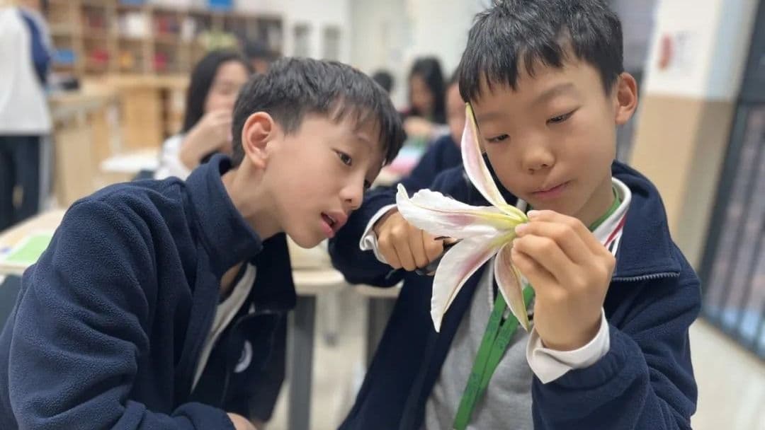 26-27学年贝赛思科学G1-G12课程内容拆解