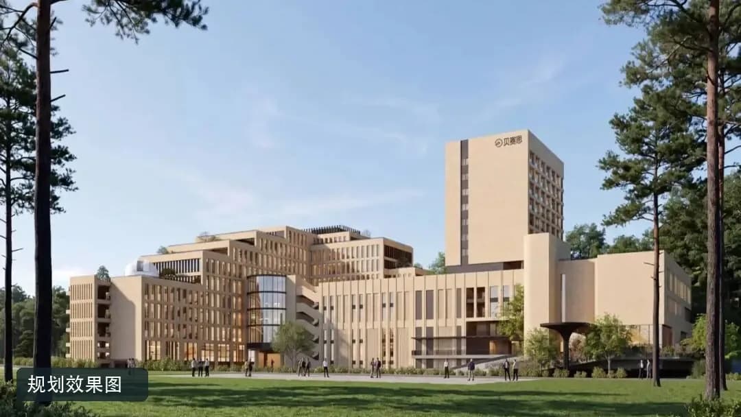 广州贝赛思黄埔校园重建:学费、申请条件与择校影响
