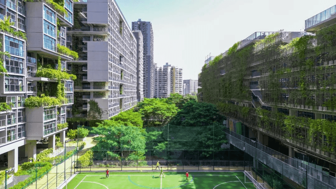 深圳学费25万以上的国际学校有哪些?