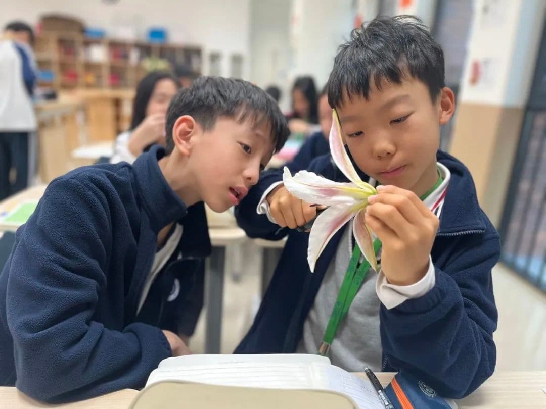 贝赛思在读学生怎么在2026学年拿下高分?进入90分俱乐部