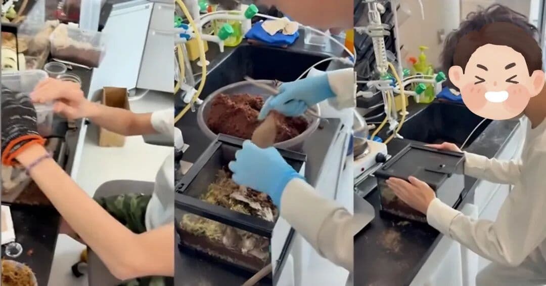 贝赛思G6—G9理科衔接:数学、物化生与经济的学习重点