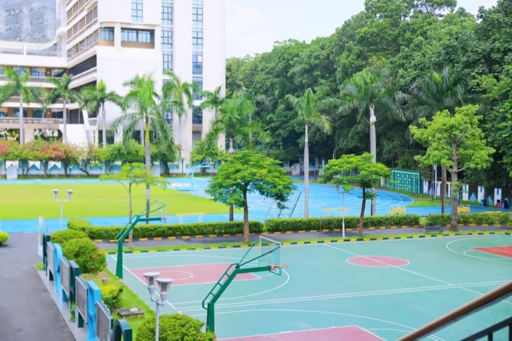 深圳市新福景双语学校 - 图片 4