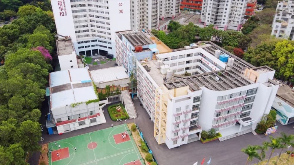 深圳市新福景双语学校 - 图片 2