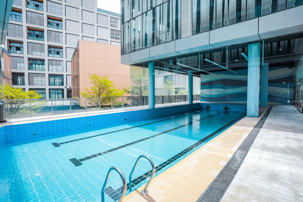 深圳IPC国际校区中学部 - 图片 3