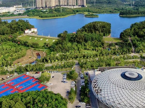 深圳市坪山区弘金地学校 - 图片 16