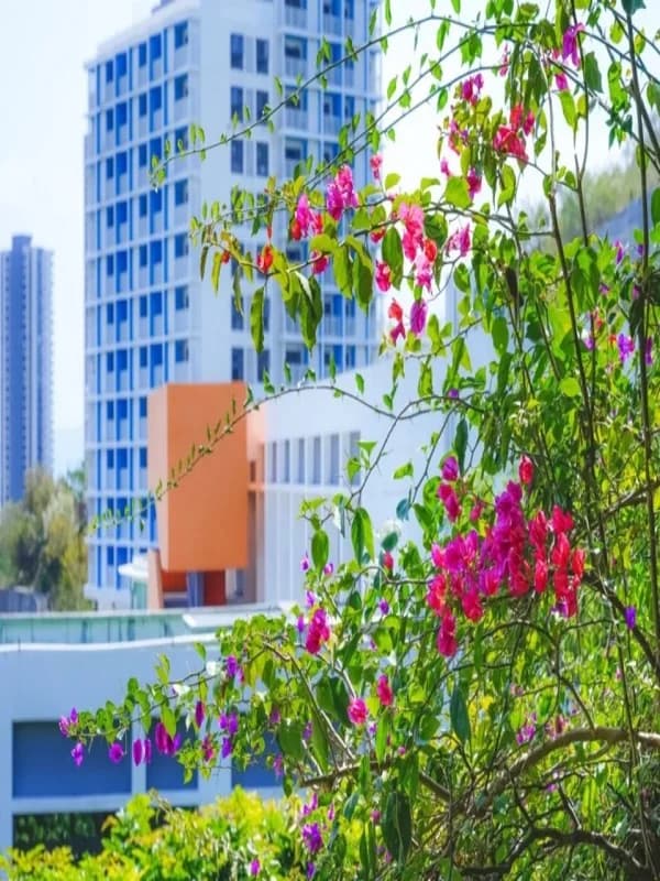 华润小径湾贝赛思国际学校 | Reflect Our Beauty Together | 暖阳韵秋景,家校同筑梦