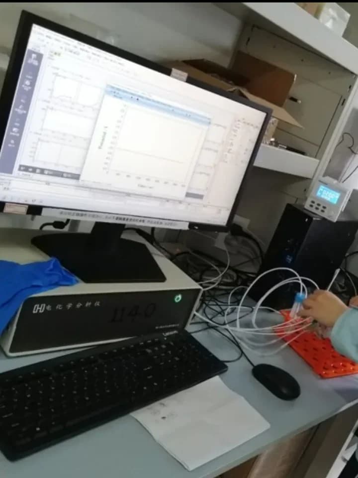 深圳高级中学国际课程体系 | 学长说 | 跟随内心 坚定向前