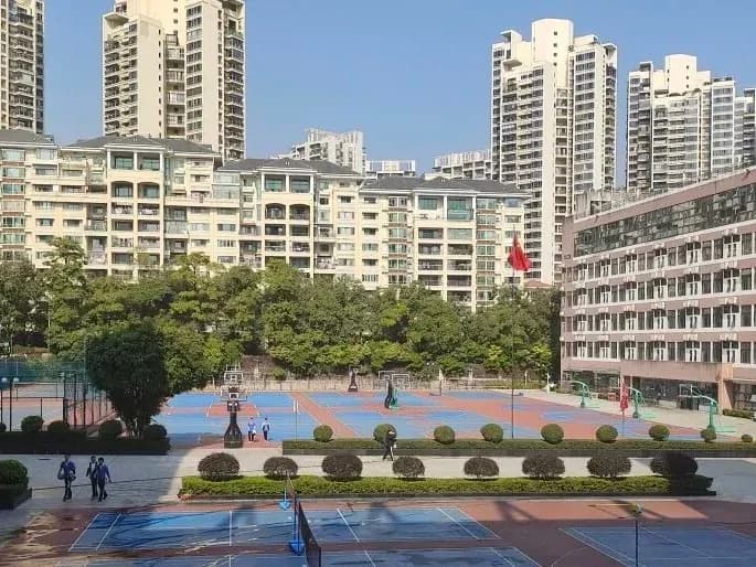 深圳高级中学国际课程体系 | 日拱一卒,厚积薄发——SIDer寒假攻略手册