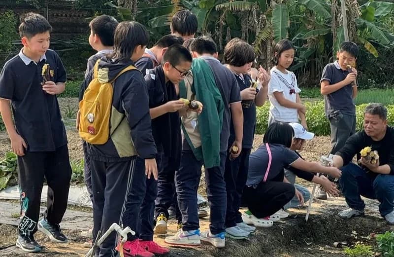 深圳IPC国际校区 | 去经历、去感受、去思考|SIPC不一样的户外课堂(下)