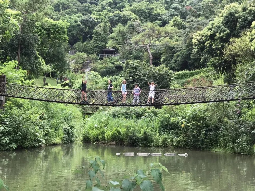 几名学生站在树林间水塘上方的绳索吊桥上